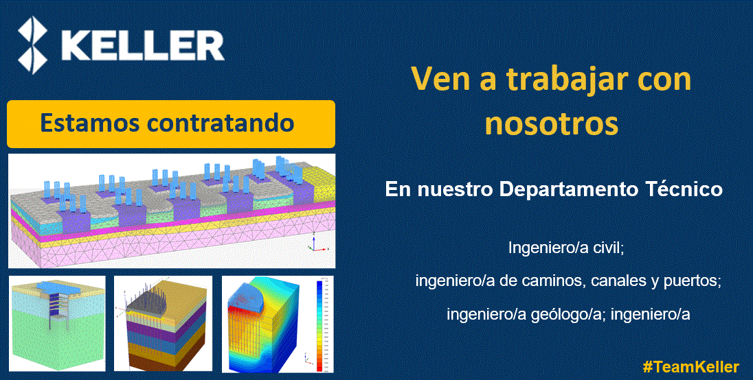 Ingeniero - Ingeniera Departamento Técnico